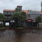 21192535 1517711794964013 3225768161264782402 n