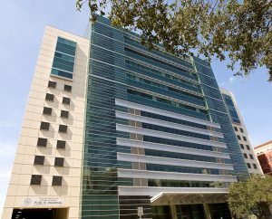 a & m College nursing